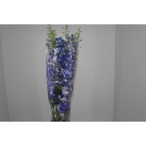 DELPHINIUM 090 CM AZUL