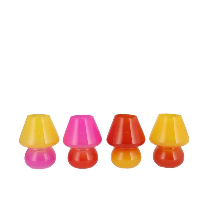<h4>Bicolore Dutch Orange Mix Led Mushroom Ass 12x15cm Nm</h4>