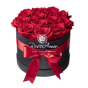 Hatbox 12 Red02 Bulk