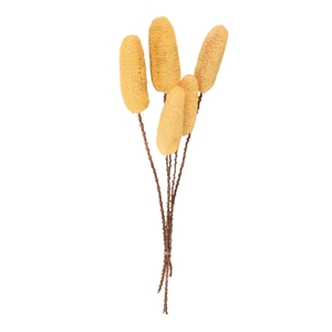 DRY LUFFA CREAM 5PC
