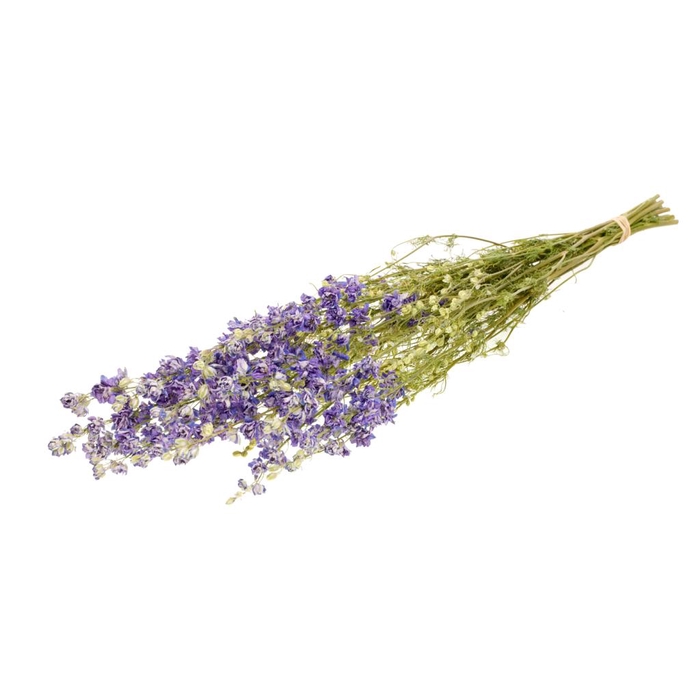 <h4>Delphinium Natural Lilac</h4>