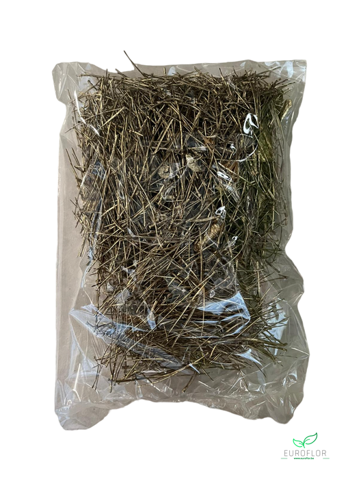 PINE NEEDLE BRASS 100GR