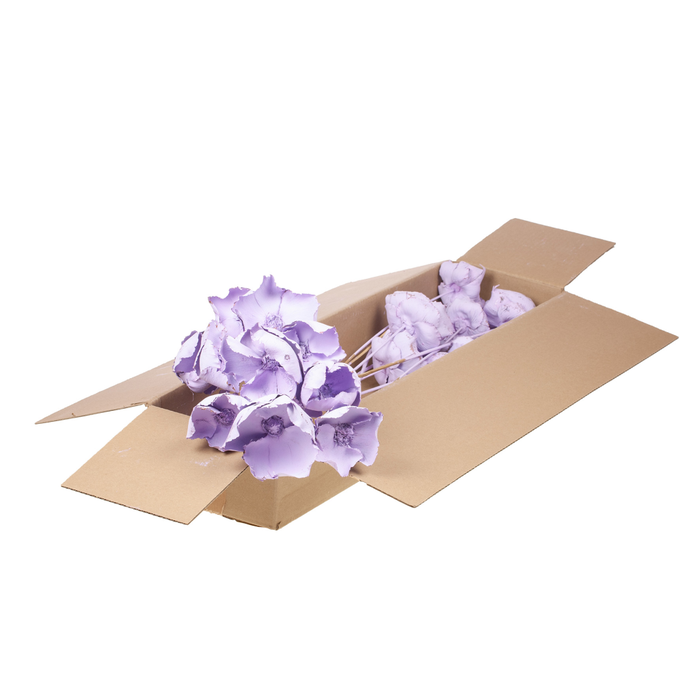 <h4>Palmcup O/s 10pc Sb Lilac Misty</h4>