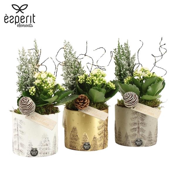 <h4>Arrangementen Kerst 6%</h4>