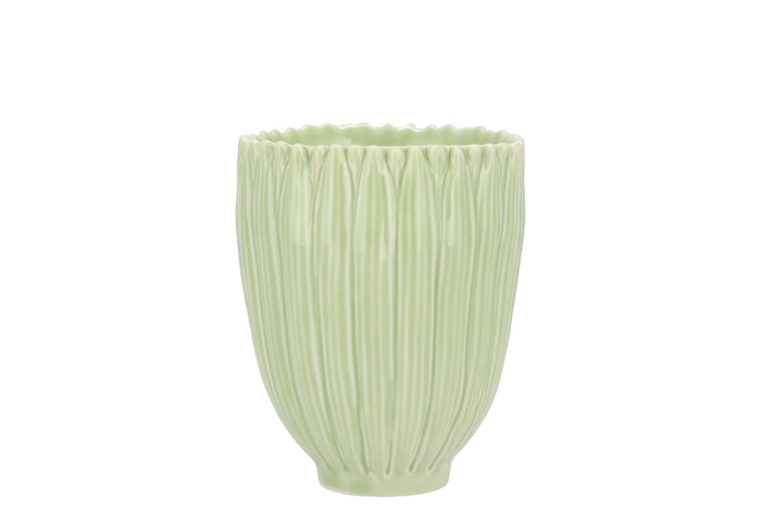 <h4>Bloom Daisy Dreamy Green Cup 8x8x9cm</h4>