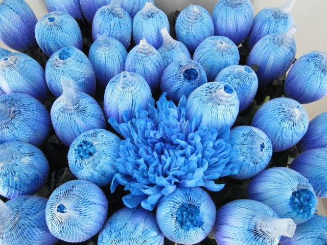 <h4>Chr G Antonov Blue Lagoon</h4>