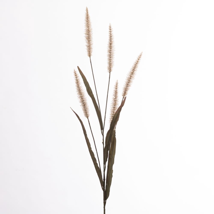 AF Pennisetum x4 L133cm Cream