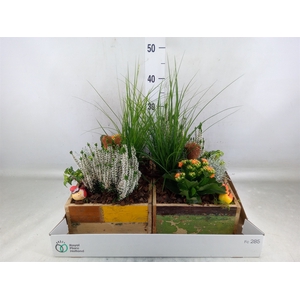 Arr.   Tuinplanten L%