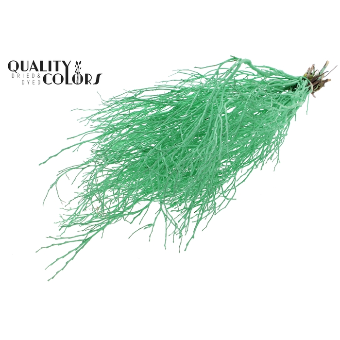 <h4>Huckelberry per bunch Mint Green</h4>