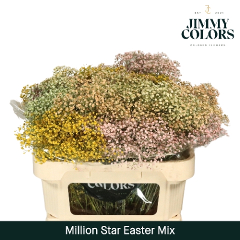 <h4>Gyps Million Star L70 Easter mix</h4>