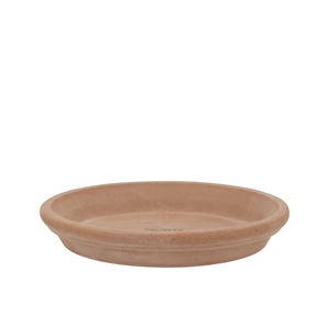 Terracotta Choco Waterdish D21xh4cm Nm