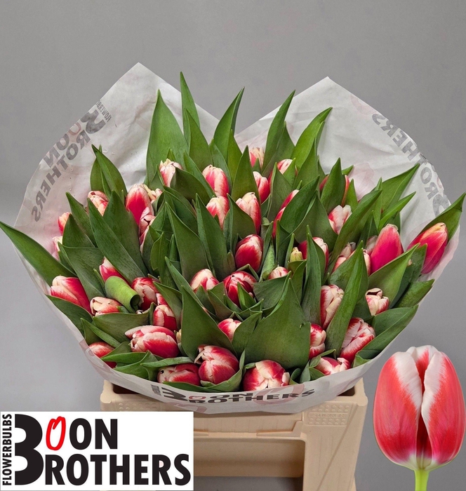 <h4>TU EN OUTFIT</h4>