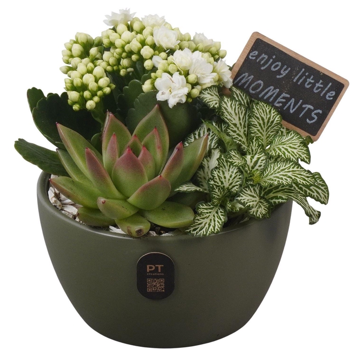 <h4>Arr.    Planten  L%</h4>