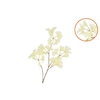 Silk Ginkgo White 85cm Nm