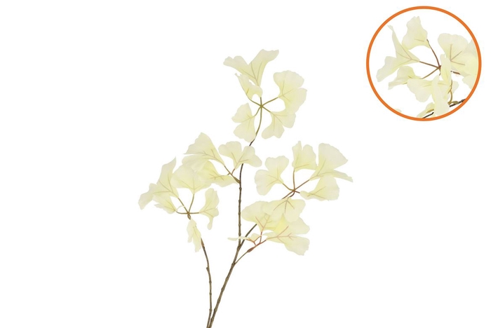 Silk Ginkgo White 85cm Nm