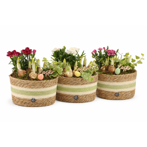 70915: Easter outdoor arrangement