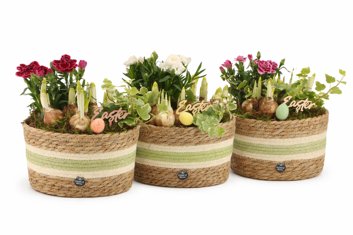<h4>70915: Easter outdoor arrangement</h4>