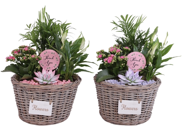 <h4>Mothersday Arr. Indoor Willow Basket Flowersign Ø27cm 4PP</h4>