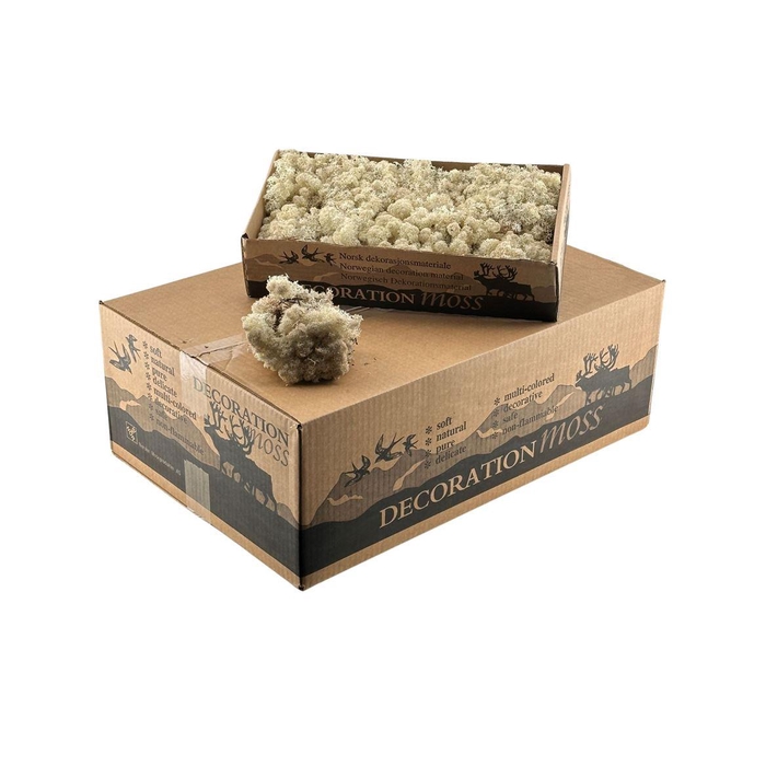 <h4>Ijslandsmos Naturel</h4>
