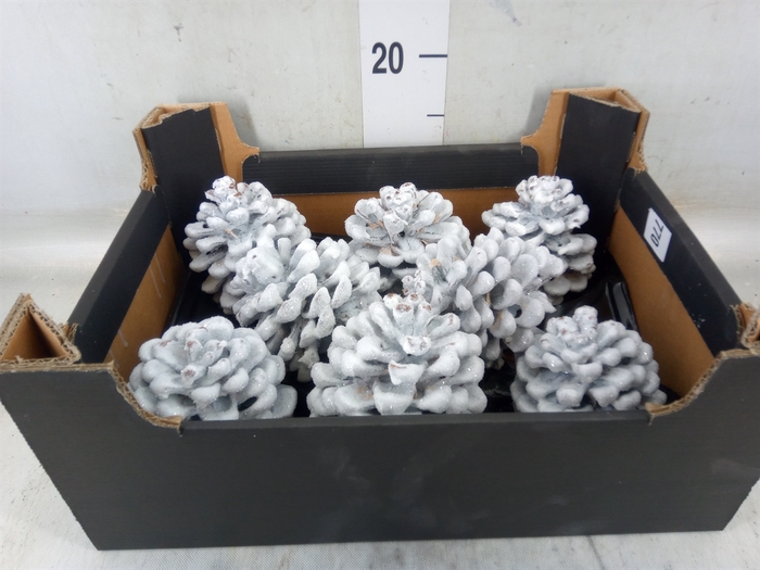 <h4>Decoratieve materialen   ...H%</h4>