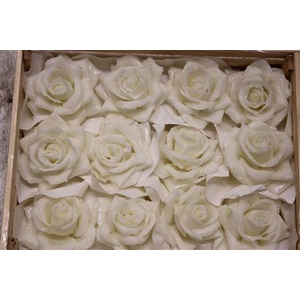 Wax Roos Icy Wit