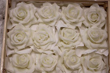 <h4>Wax Roos Icy Wit</h4>