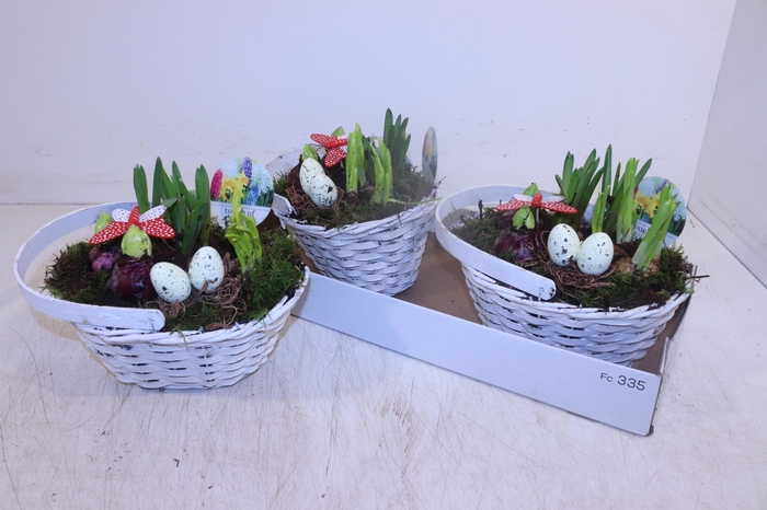 <h4>ARR BOL KNOLGEWAS</h4>