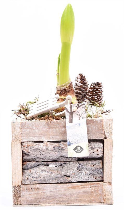 <h4>Hout met boomschors 15x15cm</h4>