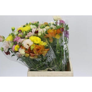 RAN BUTTERFLY GEM BS