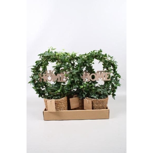 Hedera boog + home in zeegrasmand in vouwdoos