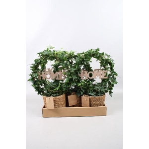 Hedera boog + home in zeegrasmand in vouwdoos