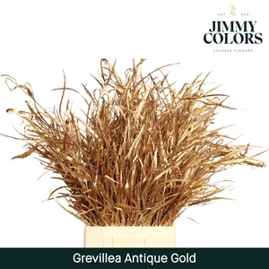 Grevillea (bunch) Antique gold