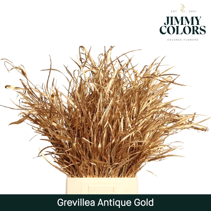 <h4>Grevillea (bunch) Antique gold</h4>
