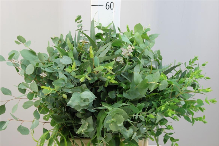 <h4>Euca Gemengd Kort</h4>