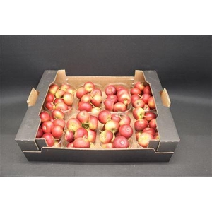 F Appel Malus Rood X8