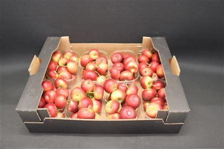 <h4>F Appel Malus Rood X8</h4>