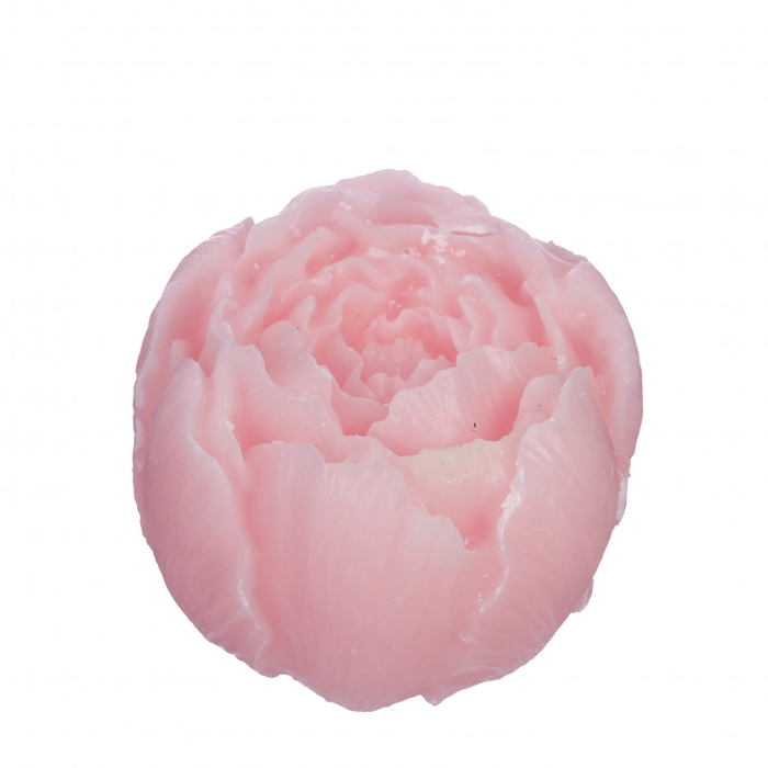 <h4>Aroma roos Rose 6.5*5.5cm</h4>