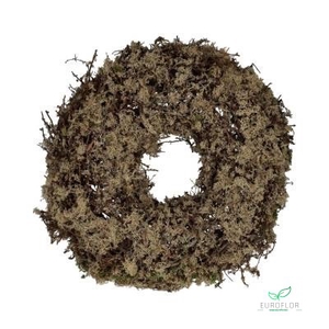 WREATH BONSAI JUMBO NATURAL H22 D50