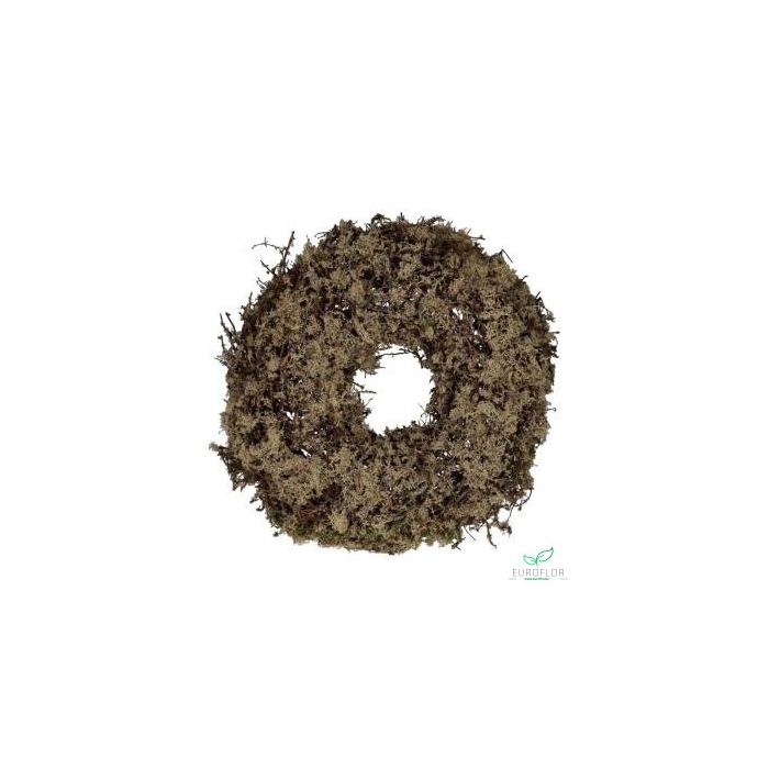 <h4>WREATH BONSAI JUMBO NATURAL H22 D50</h4>