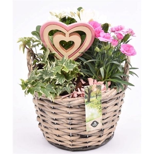 Wilg mand grijs met oor 18cm