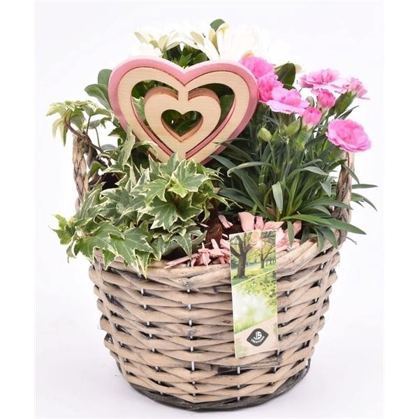 <h4>Wilg mand grijs met oor 18cm</h4>