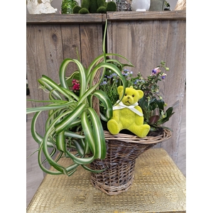 Panier extérieur 10