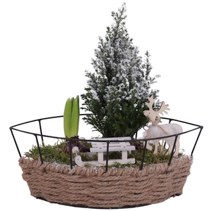 Winter Arr. Outdoor Metal Frame Rope Pot Boat Ø31cm 2PP
