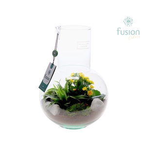 Green Bottle Suzanne Medium met arrangement