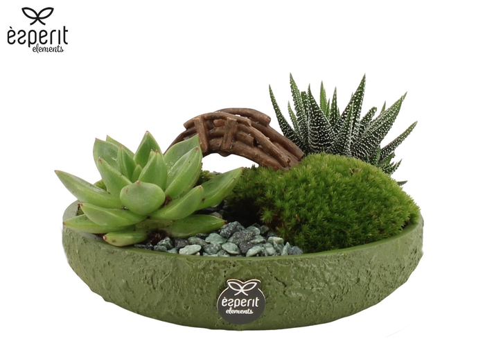 <h4>90764: Landscape arrangement</h4>