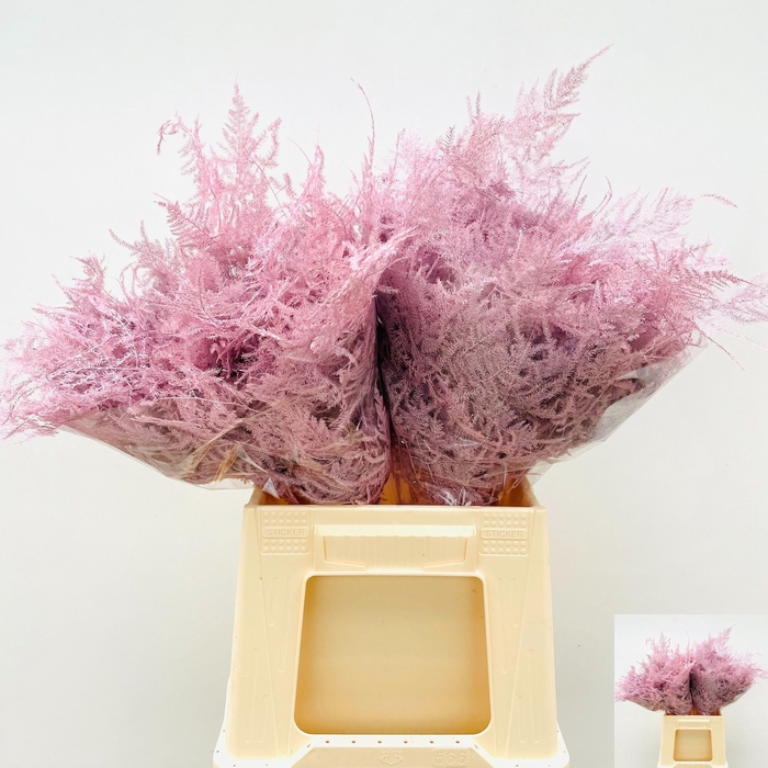 <h4>ASP OV KLB H%</h4>