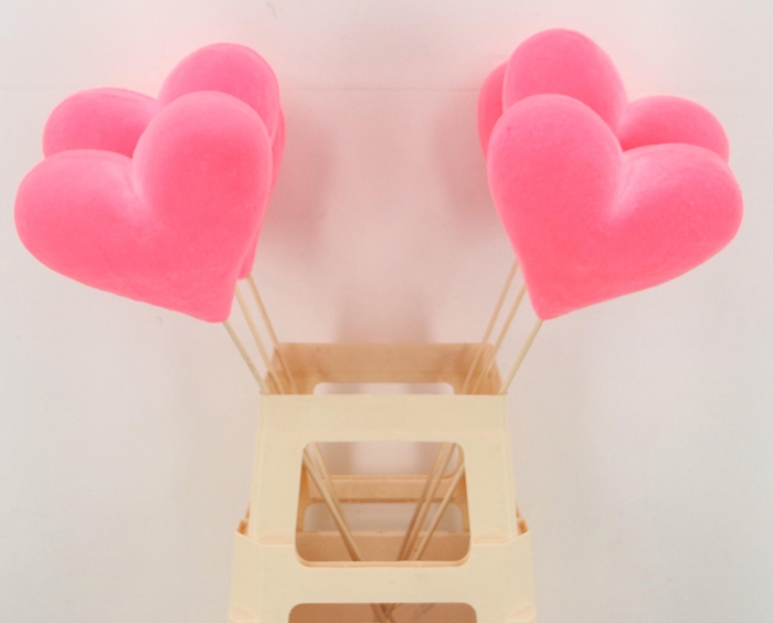 <h4>HARTJE OP STOK H%</h4>