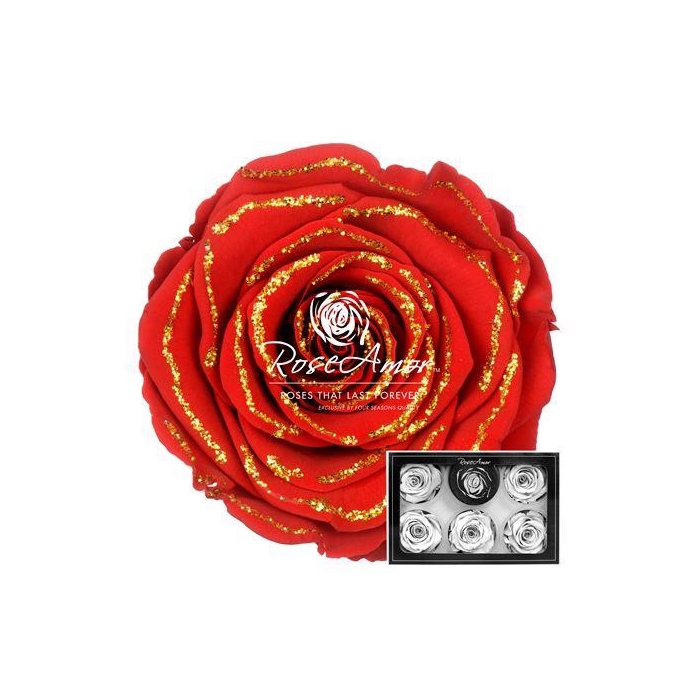 <h4>Xl Glitter Gold Red02</h4>