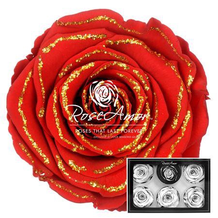 Xl Glitter Gold Red02