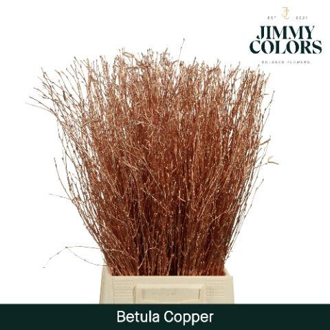 <h4>Betula L60 Mtlc. Copper</h4>